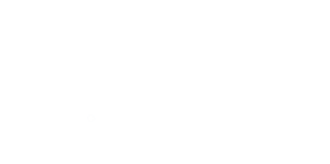 Pitzi-logo-750-width-transparent-brackground-300x149